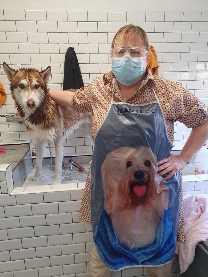 Jill Loving Huskys