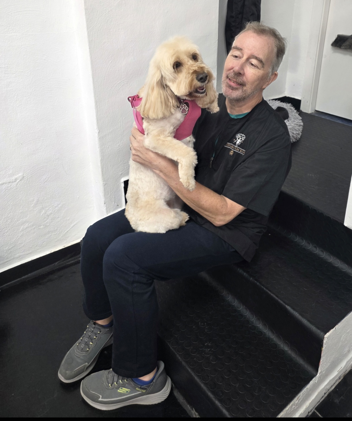 Brian, Pet owner's day course, Spain