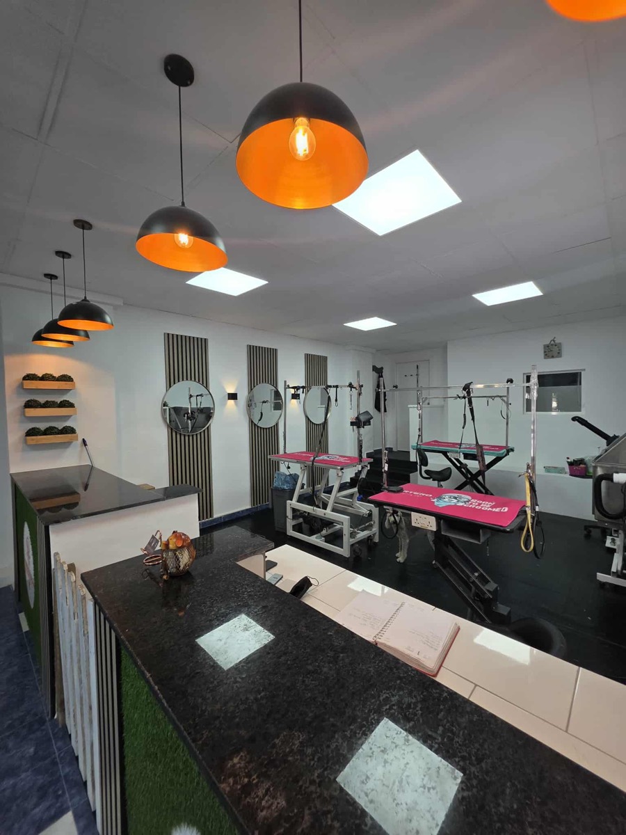 Wide view of the salon floor with multiple dog grooming tables at Jodie's Groom Room