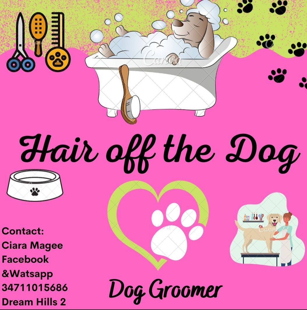 Ciera's dog grooming business