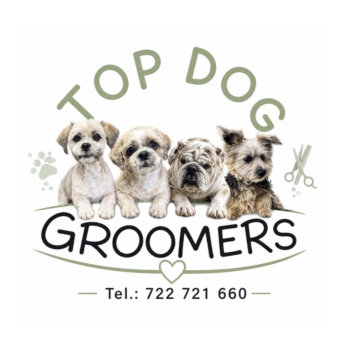 Marie's dog grooming business